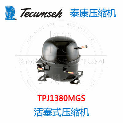 TPJ1380MGS